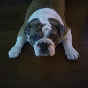 Meet your Posher, Jeff